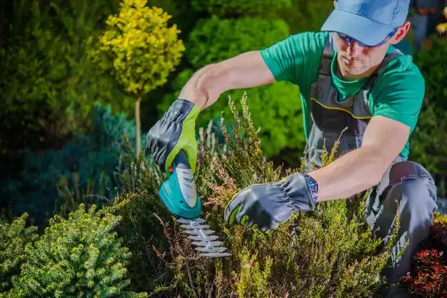 landscaping services New Hamilton